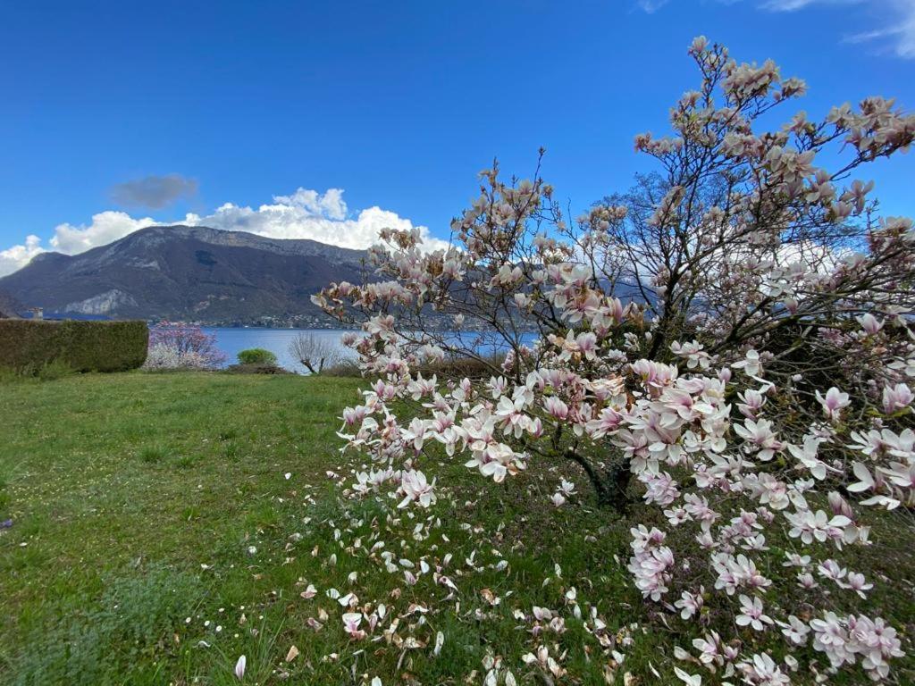 La Roseliere Sud, Vue Lac & Jardin Sévrier Exterior foto